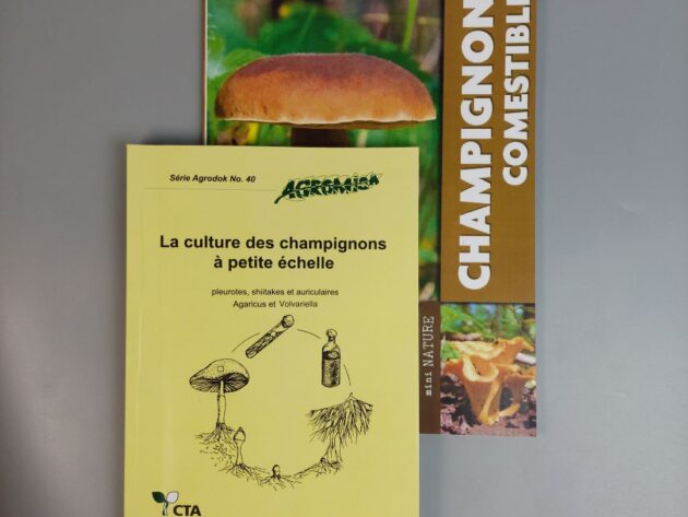 La culture des champignons+Les champignons comestibles