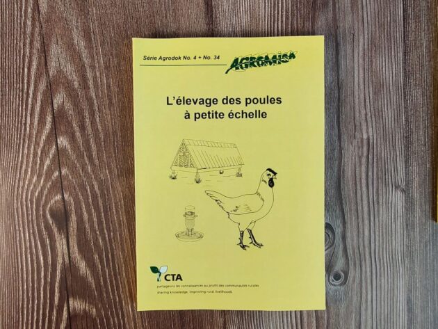 L'élevage des poules à petite échelle